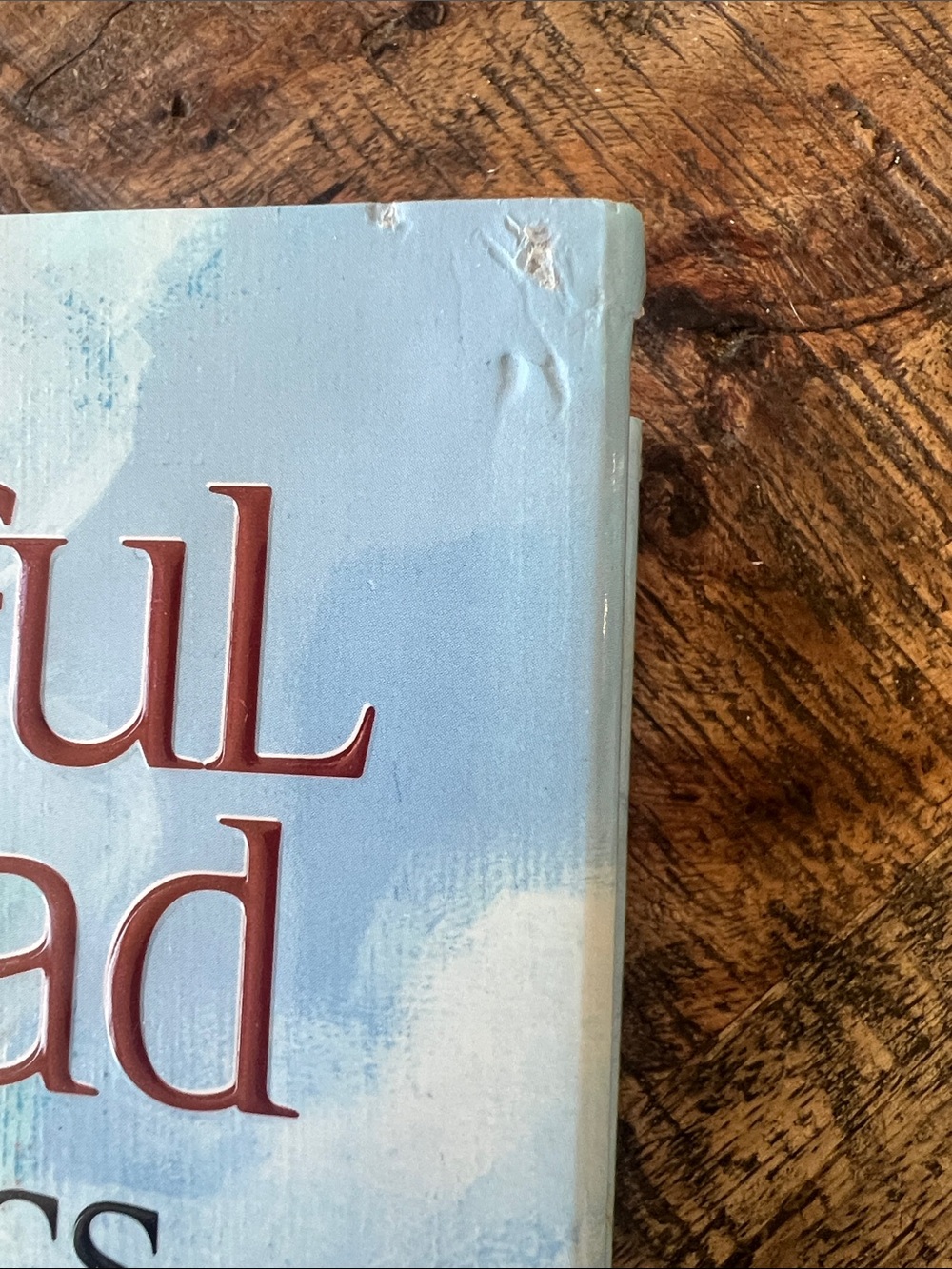 free press Grateful Dead Lyrics Book with Blue, Red, White Artwork - Picture 2 of 11